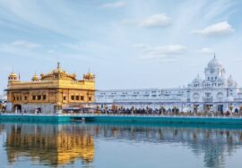 Discover the Real Punjab