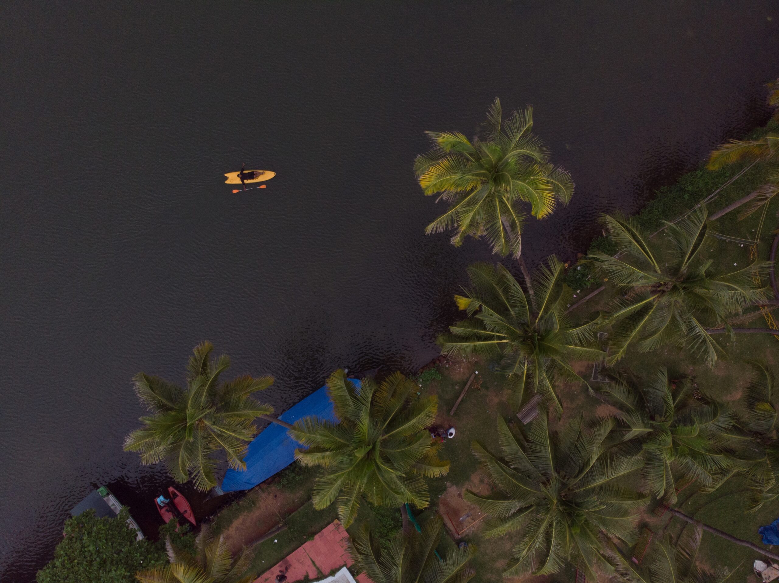 aerial shot boats beach with palm trees scaled
