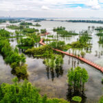 ALAPPUZHA — BACKWATER KING FACES NEW REALITIES: