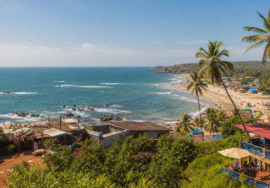 Goa Plans Digital Reputation Centre