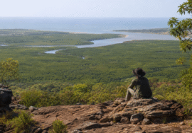 Northern Australia Looks Towards ASEAN Markets