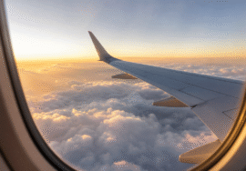 Firefly gpt image AI Powered Travel Insurance Company Raises USD 50 Million Travel insurance technolog 342462