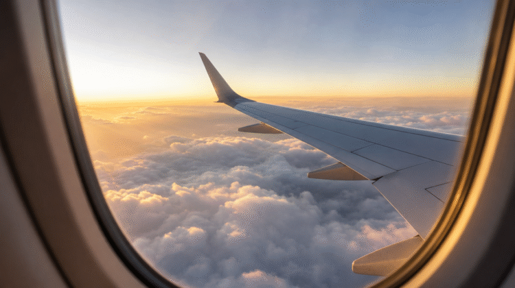 Firefly gpt image AI Powered Travel Insurance Company Raises USD 50 Million Travel insurance technolog 342462