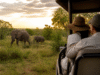 Firefly gpt image India to Africa luxury travel gets a dedicated trade push Integrated Hospitality Solu 595244
