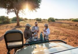 kruger-national-park-coffee-safari