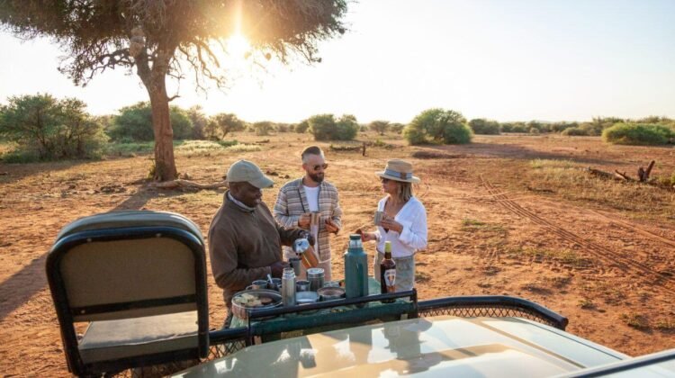kruger-national-park-coffee-safari