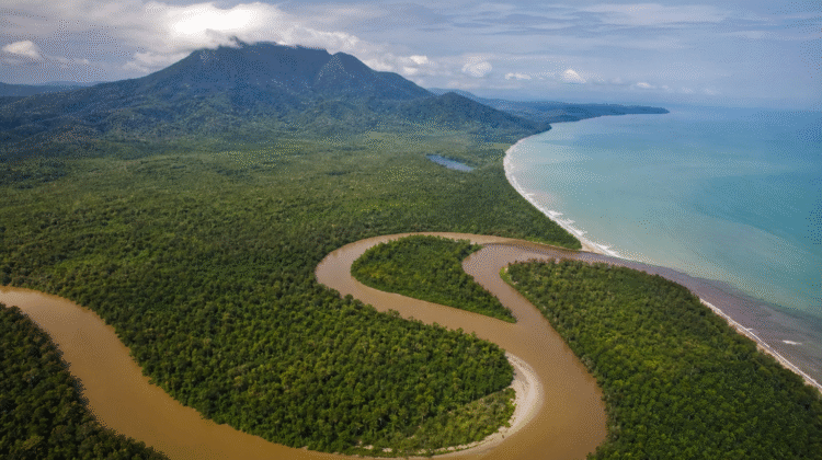 Borneo