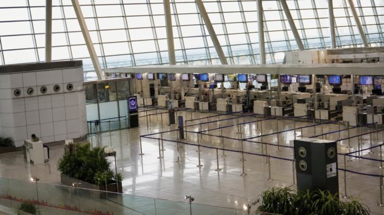 Firefly gpt image Delhi Airport prepares for BRICS with higher international capacity — and fights misi 303271