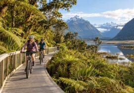 Great Rides cycling tourism in New Zealand, AI-generated representative image