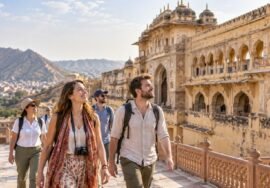 VFS Global — AI-generated representative image