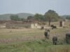 Village landscape in Chitrakoot, Uttar Pradesh.