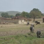 Beyond the Beaten Track: Uttar Pradesh Takes Rural and Craft Tourism to the Next Level