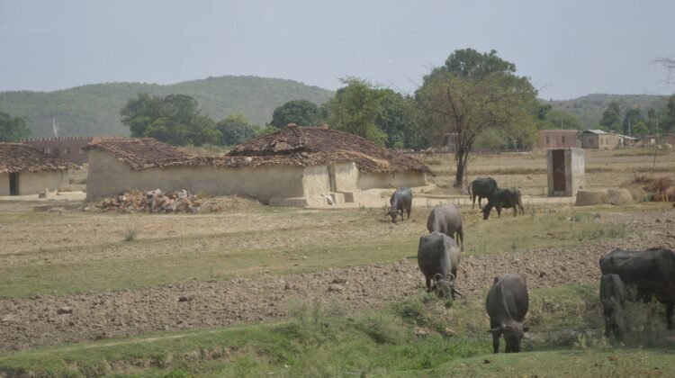 Village landscape in Chitrakoot, Uttar Pradesh.